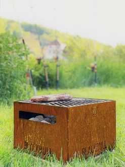 Holzkohlegrill BlackBull PiQoo -Warmes BBQ-Restaurant 186d393cef9de7025139d4a399db61d2