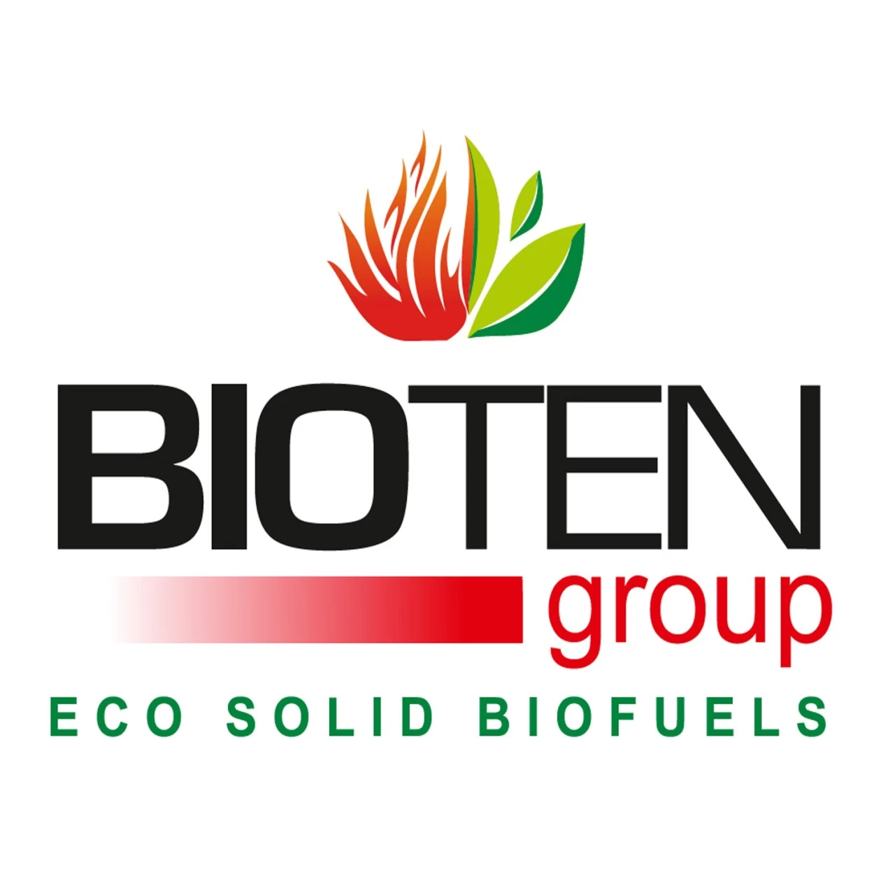 BIOTEN Premium Grill Holzkohlebriketts GASTROPAKET 36x10kg 6 BIOTEN Premium Grill Holzkohlebriketts GASTROPAKET 36x10kg – Bild 6