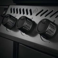 Napoleon Freestyle 365, 3 Hauptbrenner, Graphit -Warmes BBQ-Restaurant napoleon freestyle 365 3 hauptbrenner graphit 2f1eb5625778b5d7f71403fa55cda22e