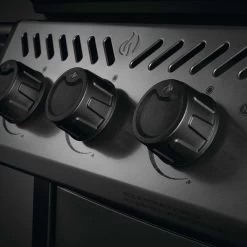 Napoleon Freestyle 425, 4 Hauptbrenner, Mit Sizzle Zone Seitenbrenner, Graphit -Warmes BBQ-Restaurant napoleon freestyle 425 4 hauptbrenner mit sizzle zone seitenbrenner graphit 20c7cb3c006a738a4d7762835f80460a