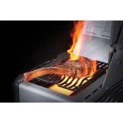 Napoleon Prestige 500, Schwarz -Warmes BBQ-Restaurant napoleon prestige 500 schwarz 64bef46b7a93d9bc5289cadcb1fc0c48