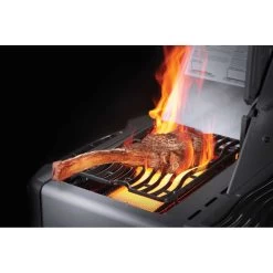 Napoleon Prestige 665, Charcoal Grau - Mit Safety Glow -Warmes BBQ-Restaurant napoleon prestige 665 charcoal grau mit safety glow 0c552ab822518ddd0a646479ca94d247